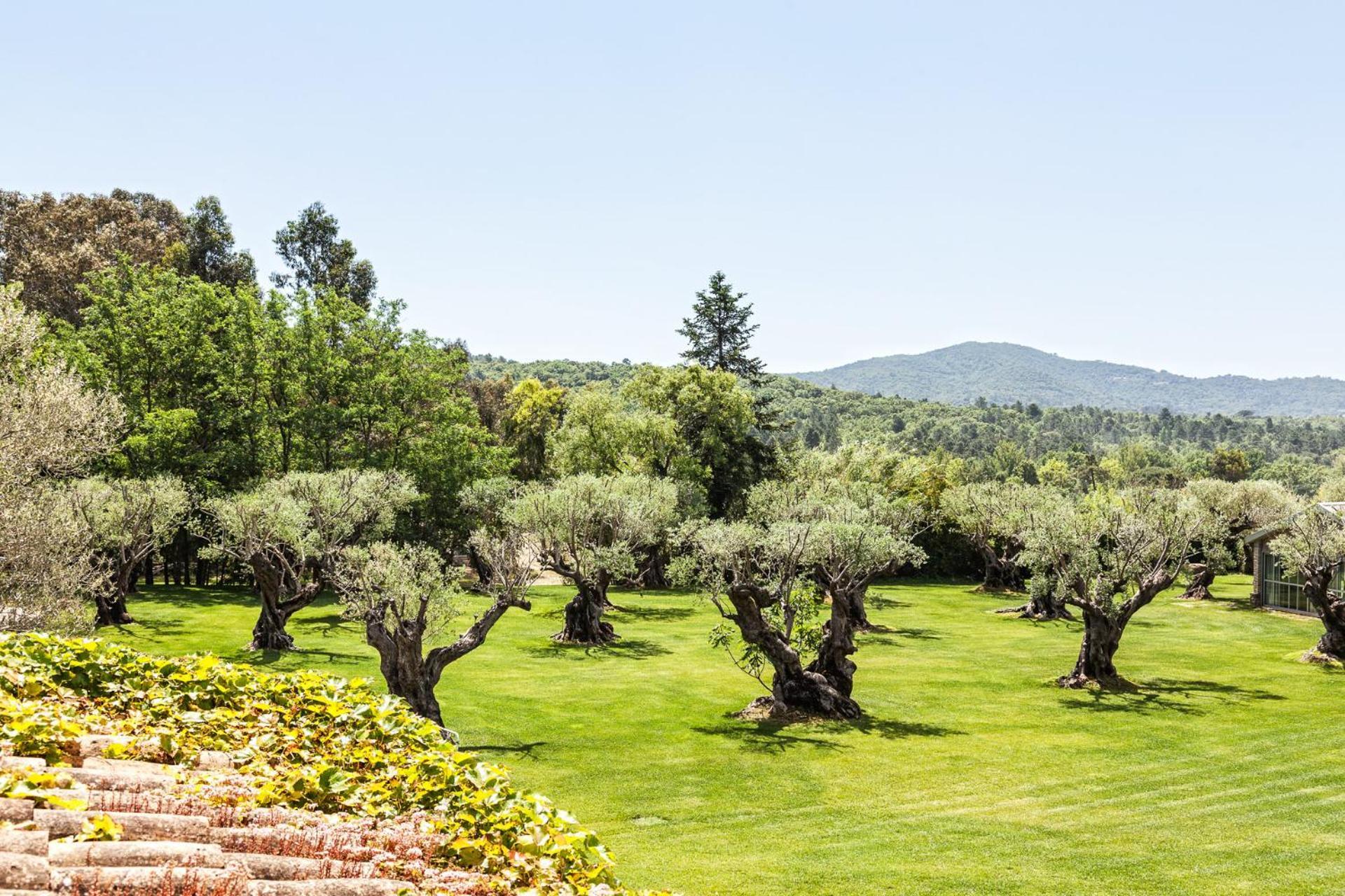 Domaine Les Mesanges Hotel กาสแซ็ง ภายนอก รูปภาพ